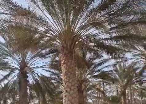 Video 2