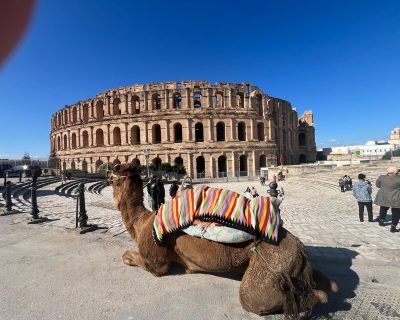 IMG-20250225-WA0023 IMG-20250225-WA0023